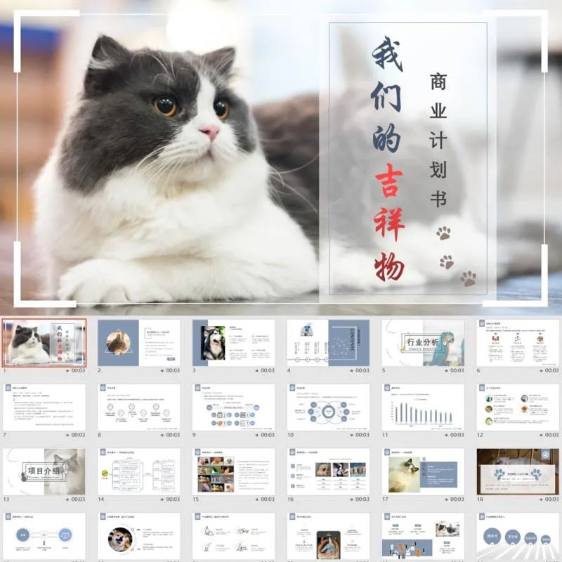 为创业者提供商业计划书制作、项目打磨、商业咨询、融资对接等一体化资本服务(图30)