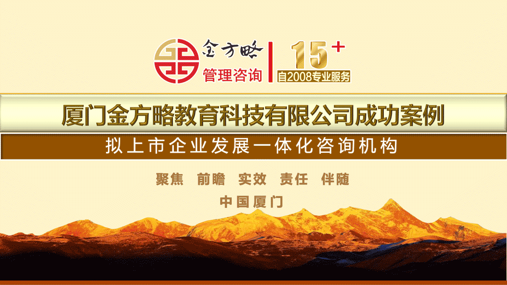 金方略咨询成功案例