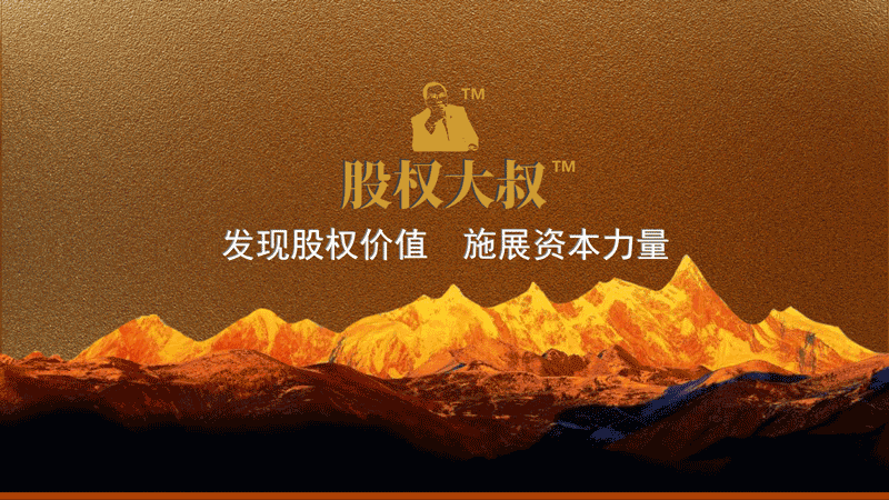 (股权大叔使命：发现股权价值 施展资本力量)