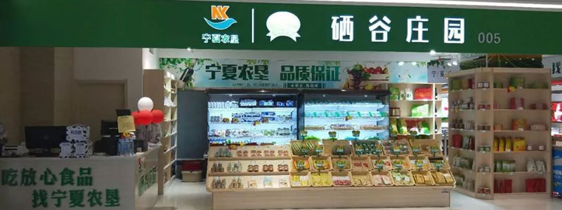 文章模型(图1)