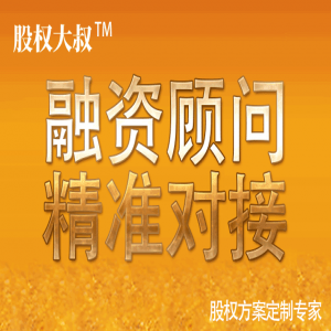 13股权融资方案（股权转让增资扩股）