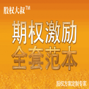 02非上市公司股权期权激励计划方案实操案例.doc